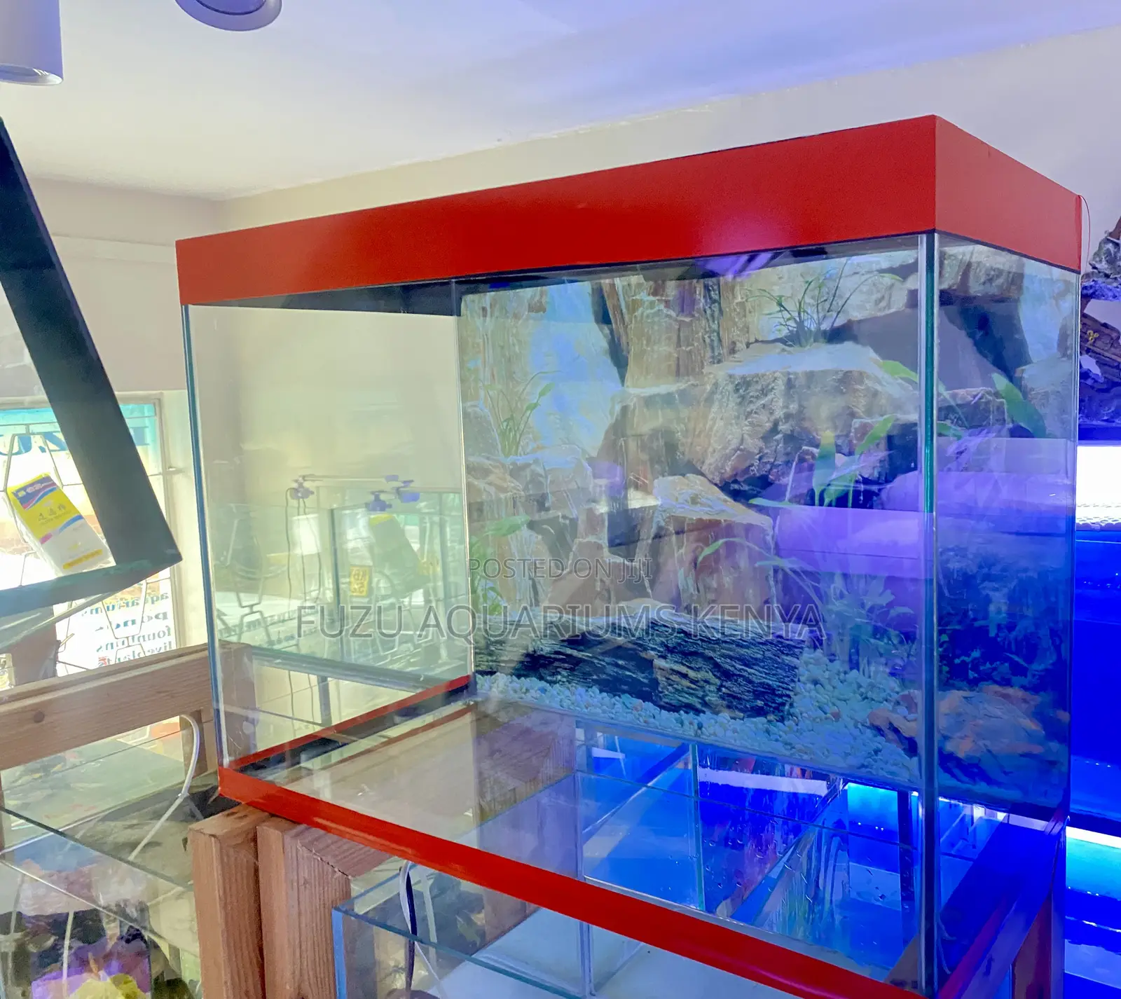 Ready Aquarium – No Experience Needed