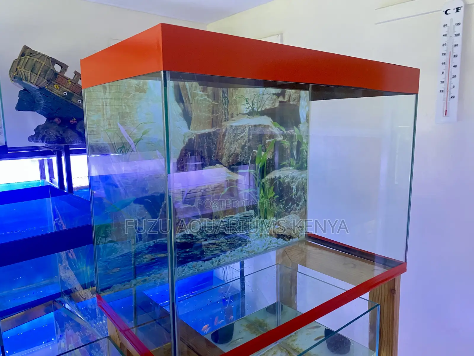 Your Peaceful Aquarium in 2ft