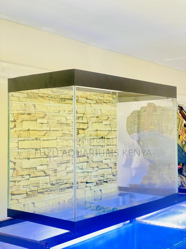 Add Some Life to Your Living Room With Colorful Aquarium