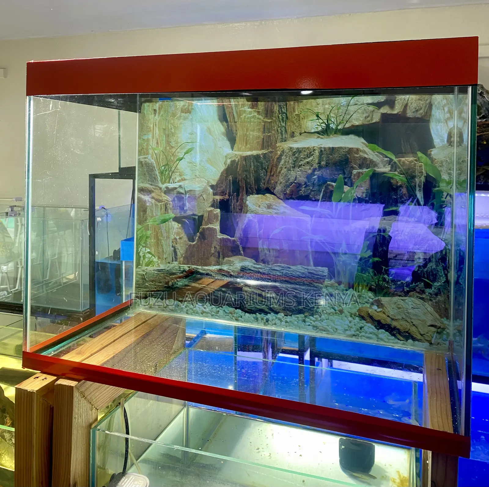 Set It, Stock It, Love It With This 2ft Aquarium