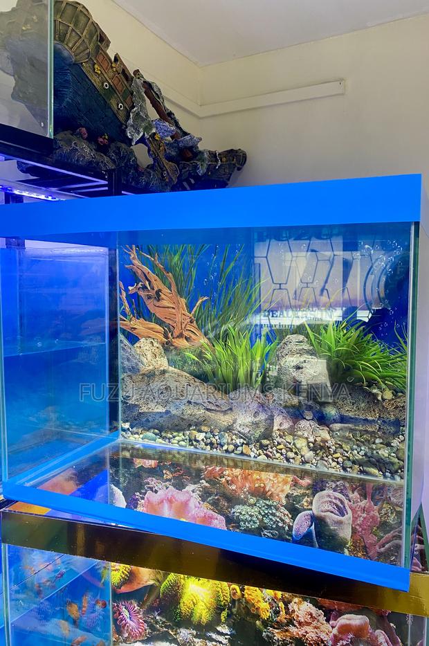 Compact Aquarium, Complete Package - main view