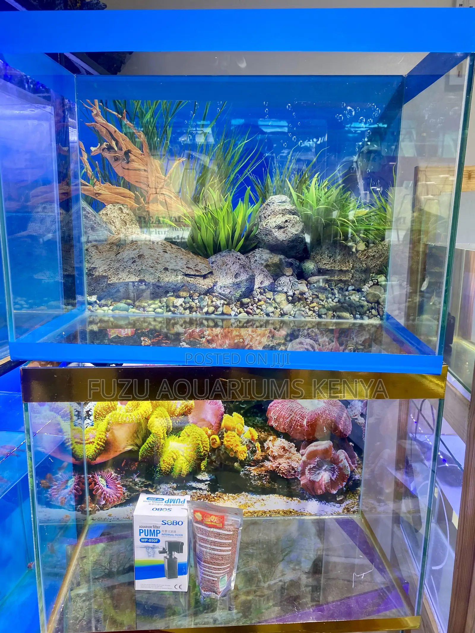 Compact Aquarium, Readily Availabile in Color of Choice