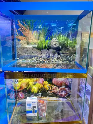 Compact Aquarium, Readily Availabile in Color of Choice