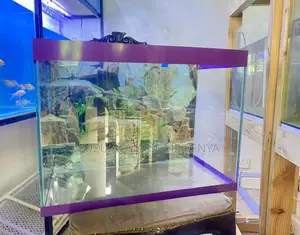 Reel in Happiness – Aquarium Offer