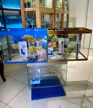 Nature Meets Style in This 60 Liters Aquarium