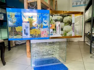 Your Colorful Escape Starts Here, 2ft Fuzu Aquarium