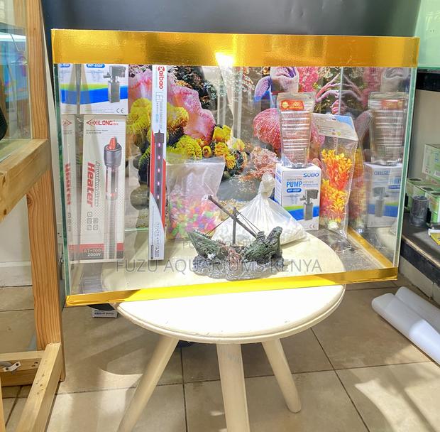 Turn Your Tabletop Into an Aquatic World, Gold Trim Aquarium