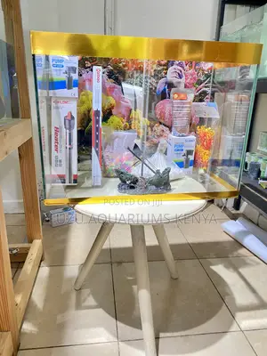 Aquarium With Filter, Heater Light – Fully Loaded