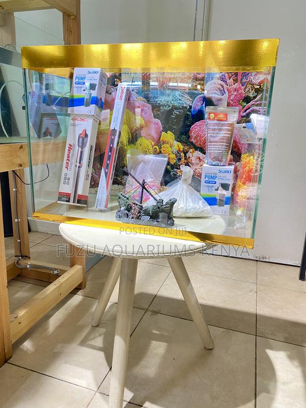 Bring Nature Indoors With This Beautiful Aquarium