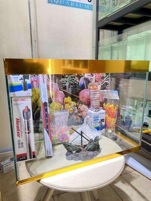 Your Complete Aquarium Setup in One Package