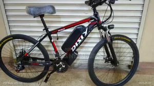 Electric Sport Bike/ Affordable Electric Bike