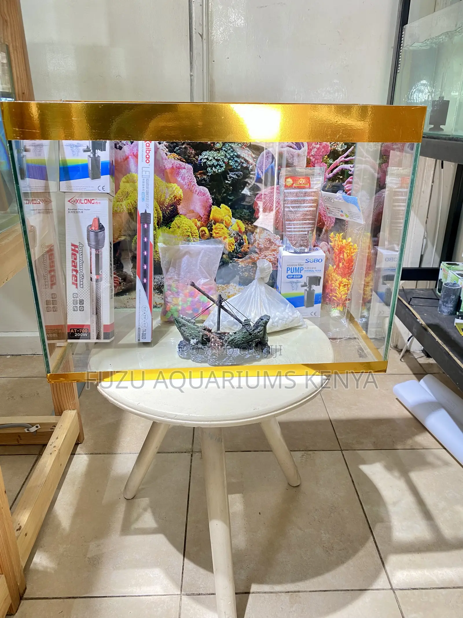 Your Gold Bordered Aquarium Setup in One Package