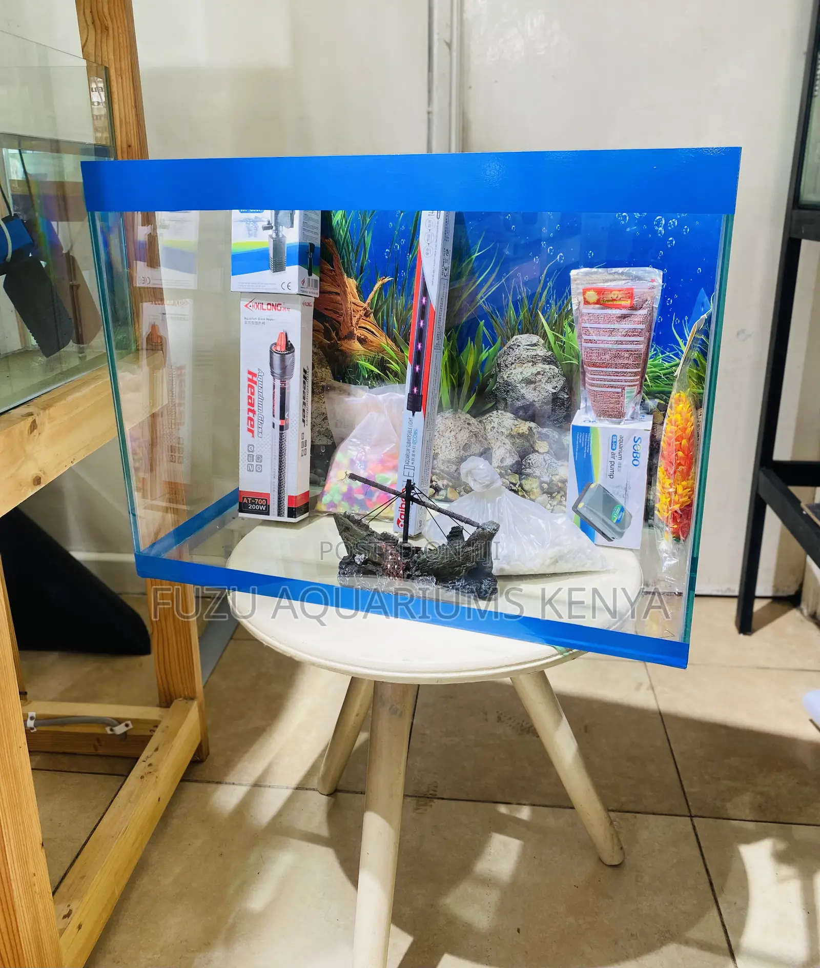 Fishkeeping Made Easy With This All-Inclusive Aquarium