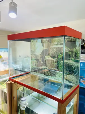 The Aquarium That Has It All