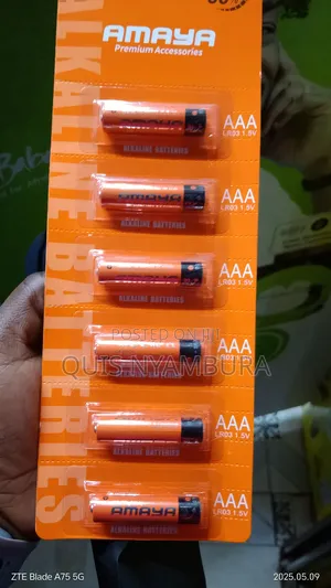 Remote/ Alarm Key Battery Set