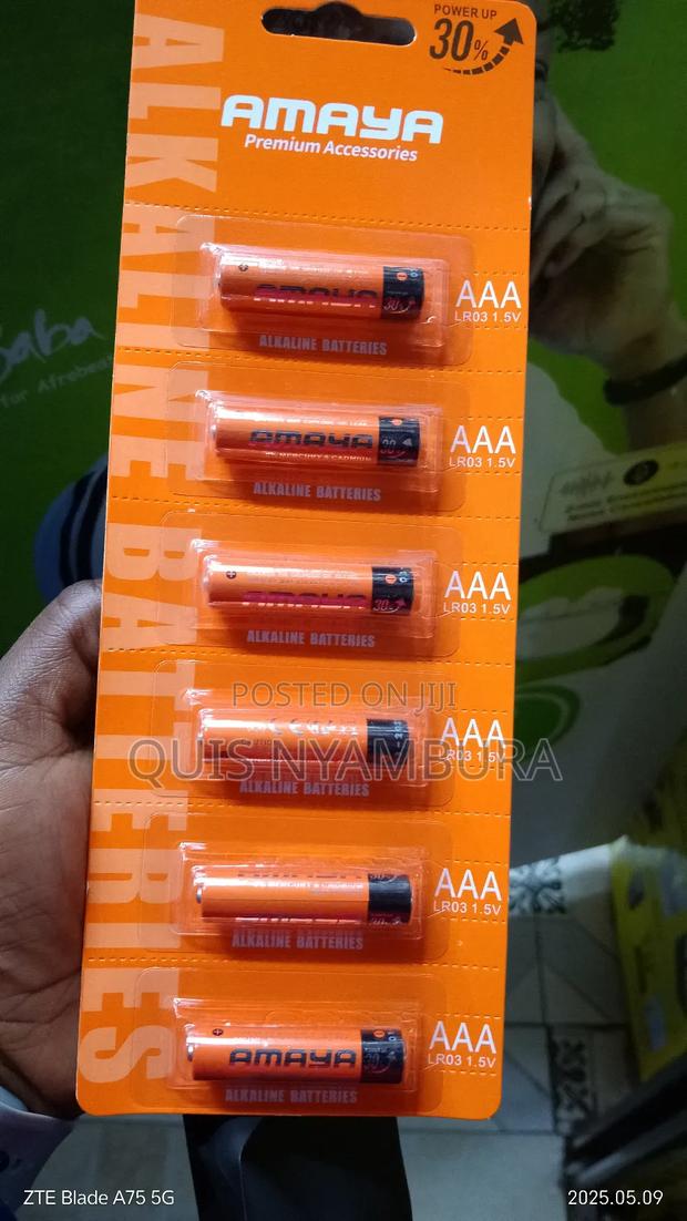 Remote/ Alarm Key Battery Set - thumbnail 2
