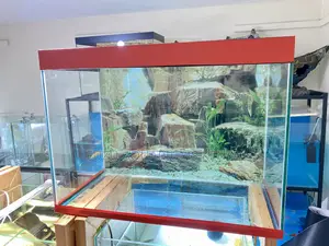Stylish Aquarium Setup – Perfect Gift Idea