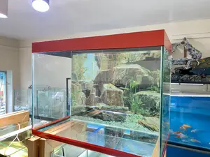 Transform Your Table With This Aquarium Kit