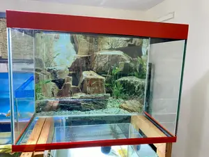 Start Your Aquarium Hobby Today