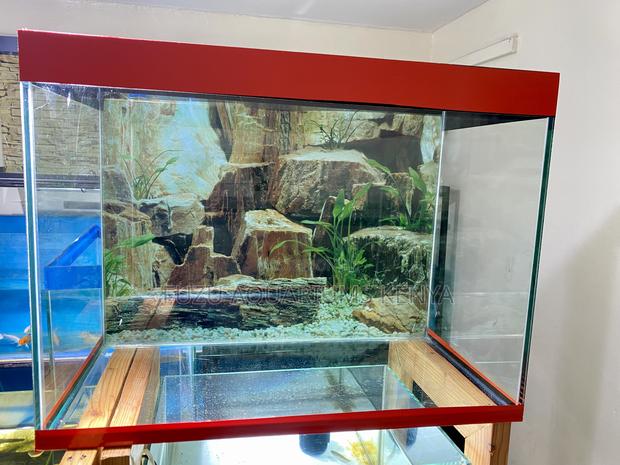 Start Your Aquarium Hobby Today - main view