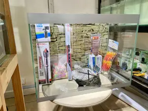 Make a Splash With This 2ft White Trim Aquarium