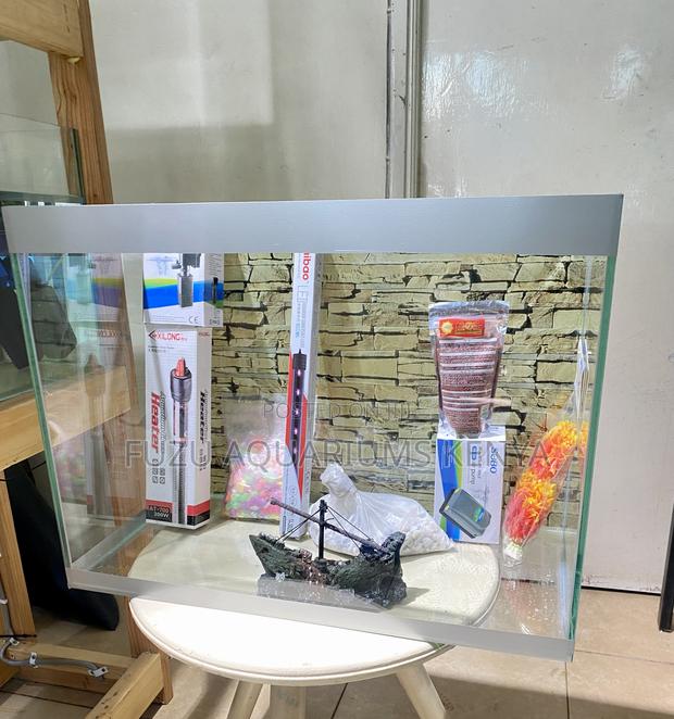 Ideal Aquarium Kit for Beginners