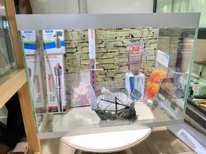 Everything You Need in One 60 Litres Aquarium