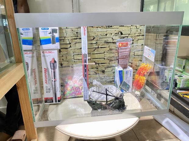Everything You Need in One 60 Litres Aquarium - main view