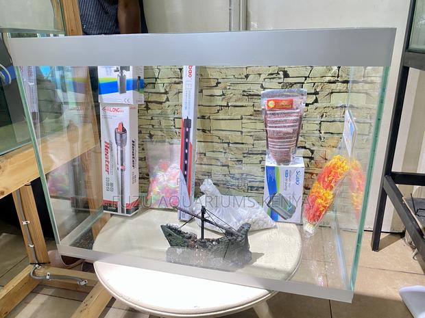 Brighten Your Home With This Stunning Aquarium