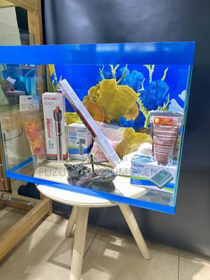 Ready, Set, Aqua! Complete Blue Trim Aquarium - thumbnail 2