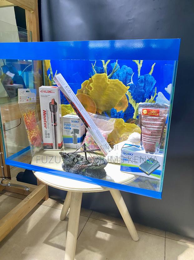 Ready, Set, Aqua! Complete Blue Trim Aquarium - main view