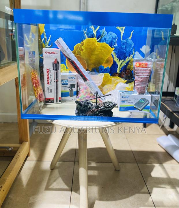 A Complete Mini Ocean for Your Home Blue Trim Aquarium