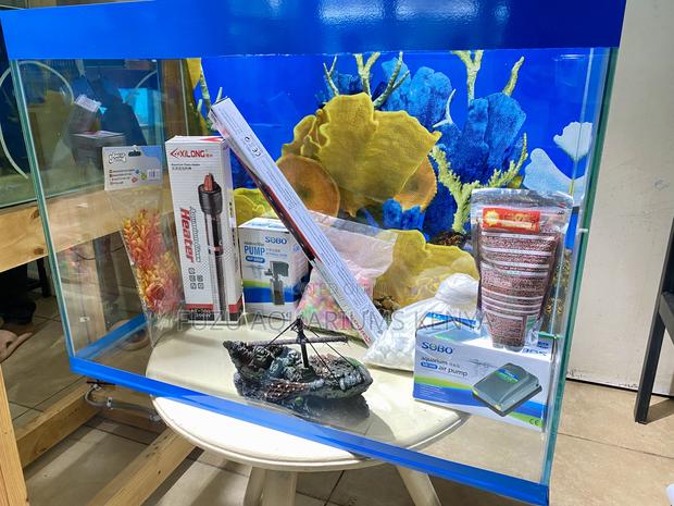 Aquarium With Background Live Plants Setup