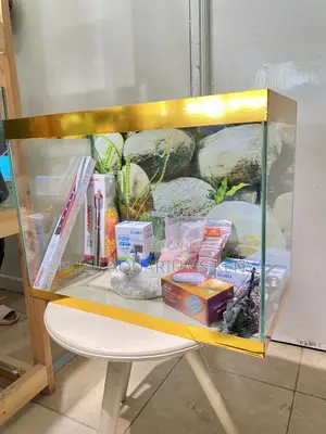 Dynamic Golden Trim Aquarium