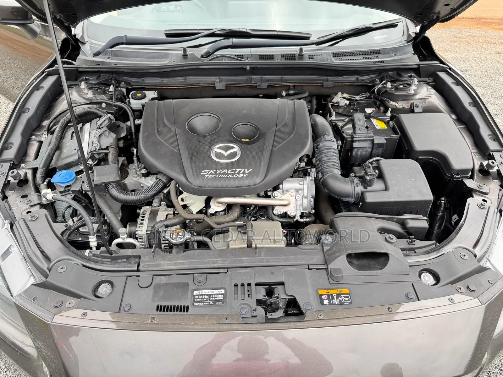 Mazda Axela 2018 Brown