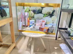 Sleek Modern Aquarium Set for Every Room