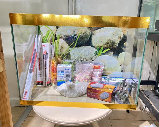Everything but the Fish – Aquarium Kit Deal