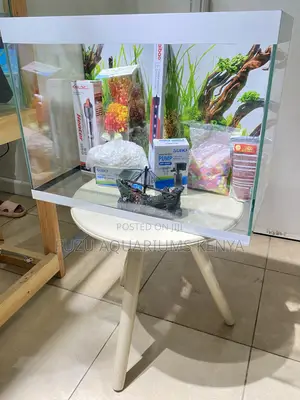 Impress Guests With This Stunning Aquarium