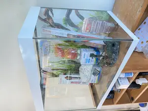 Complete Fish Tank Setup – Heater, Pump Décor