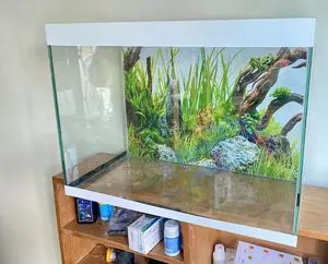 Your Aquatic World in a White Trim Aquarium