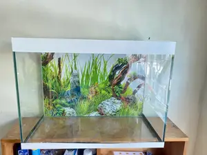 White Trimmed Aquarium With Underwater Led Show