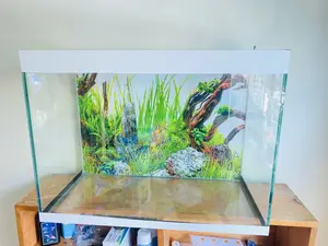 Aquarium Starter Kit – No Extra Shopping Needed