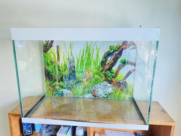 Aquarium Starter Kit – No Extra Shopping Needed