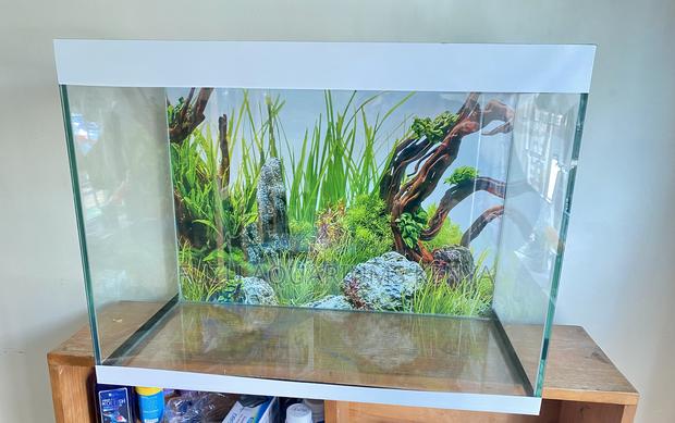 Stress-Free Aquarium Setup at Your Fingertips