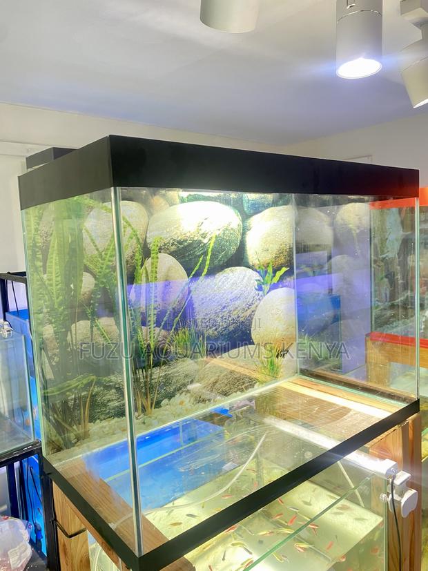 Brighten Your Living Space With This Stunning Aquarium - main view