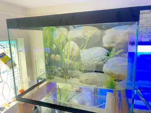 Plug-and-Play Aquarium Experience
