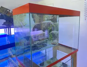 All Essentials in One Aquarium Deal
