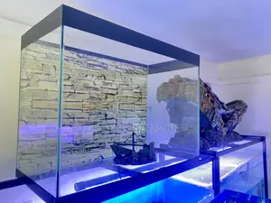 Perfect Aquarium Kit for Kids Adults