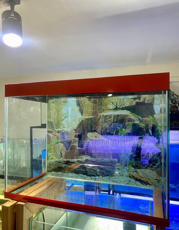 Red Frame, Big Features – Aquarium Kit - main view
