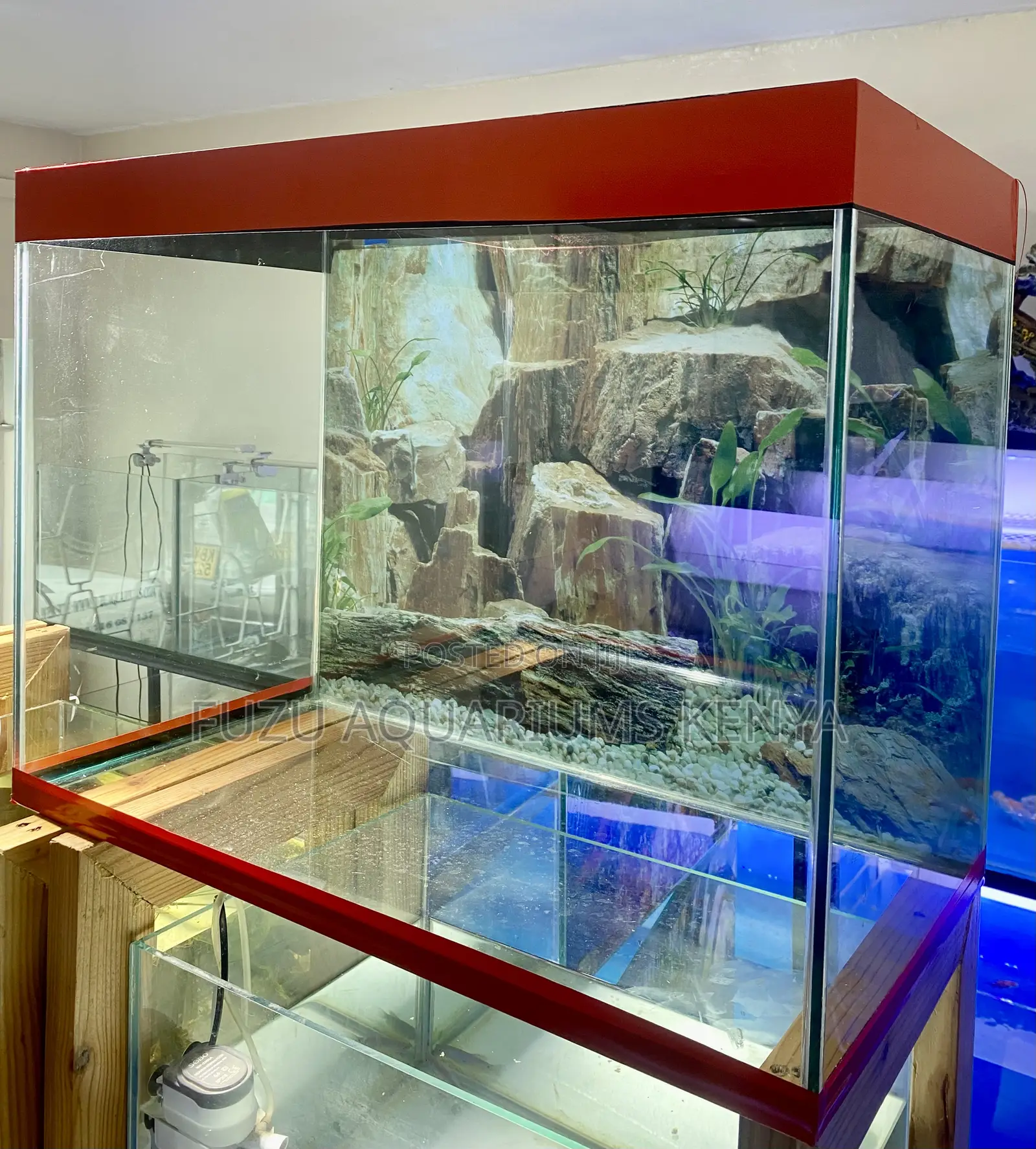 Compact Design, Big Fish Dreams, Classy Aquarium